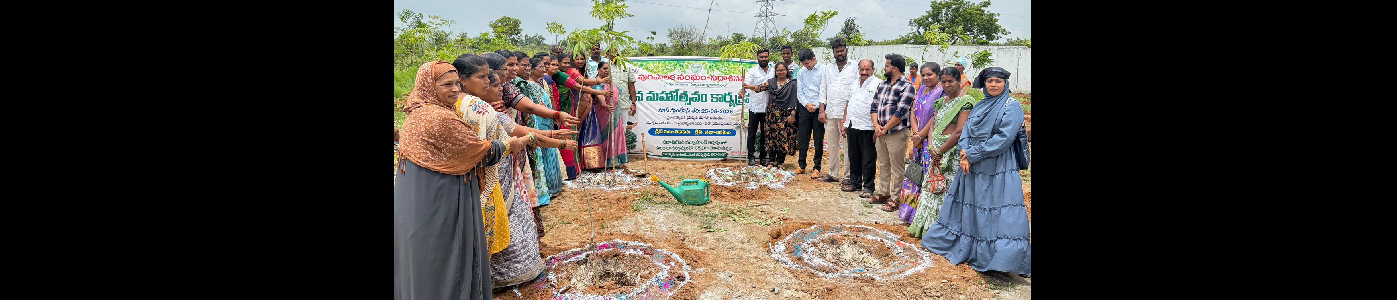 VANAMAHOTSHAVAM PLANTATION